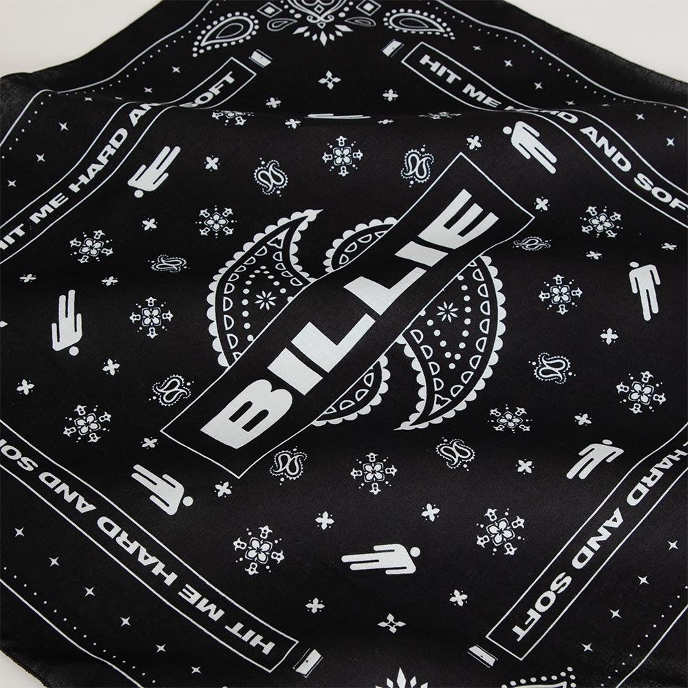 Paisley Blohsh Black Bandana
