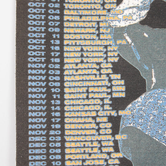 HIT ME HARD AND SOFT: THE TOUR 2024 Canvas Fabric Poster