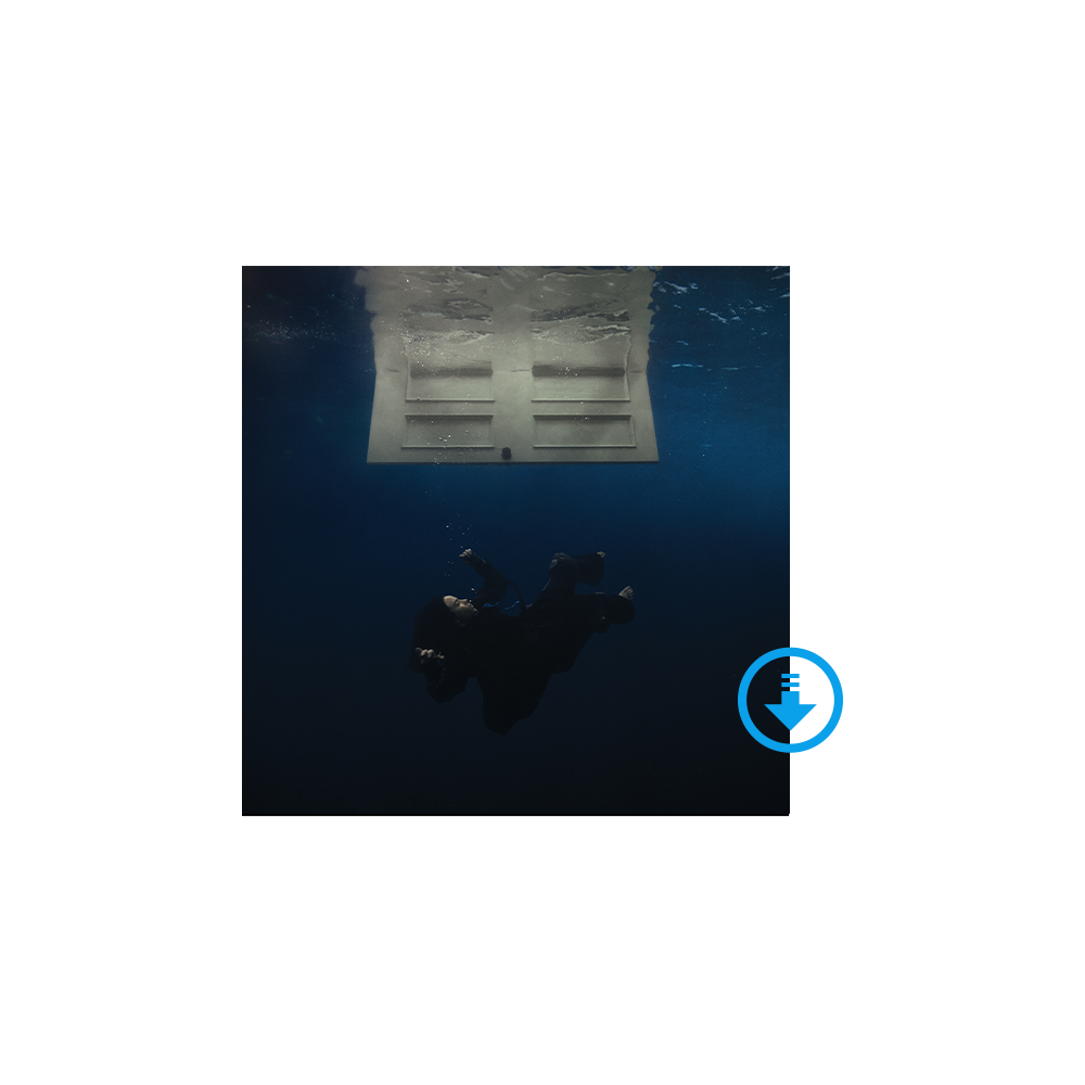 HIT ME HARD AND SOFT Digital Album