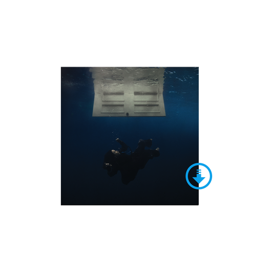 HIT ME HARD AND SOFT Digital Album